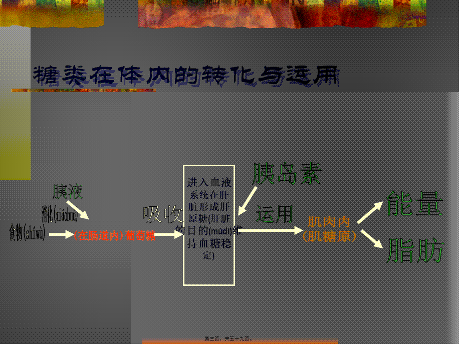 2022年医学专题—糖尿病的营养调理.ppt_第3页