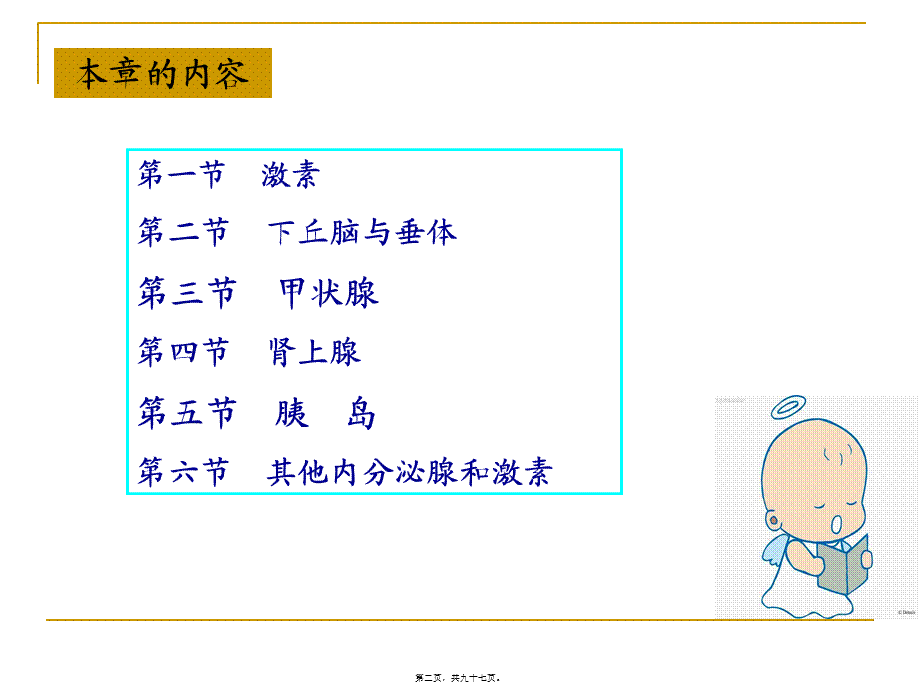 内分泌(药学).pptx_第2页