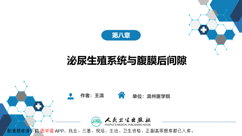 第八章 泌尿生殖系统与腹膜后间隙 第四节 男性生殖系统(1).pptx_第2页