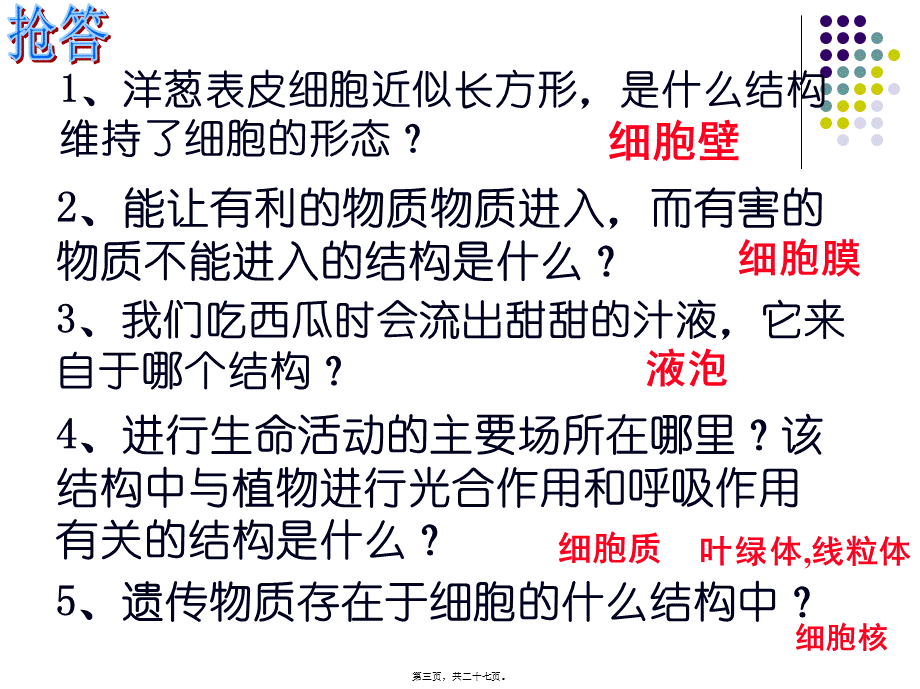 人和动物细胞的结构与功能.pptx_第3页