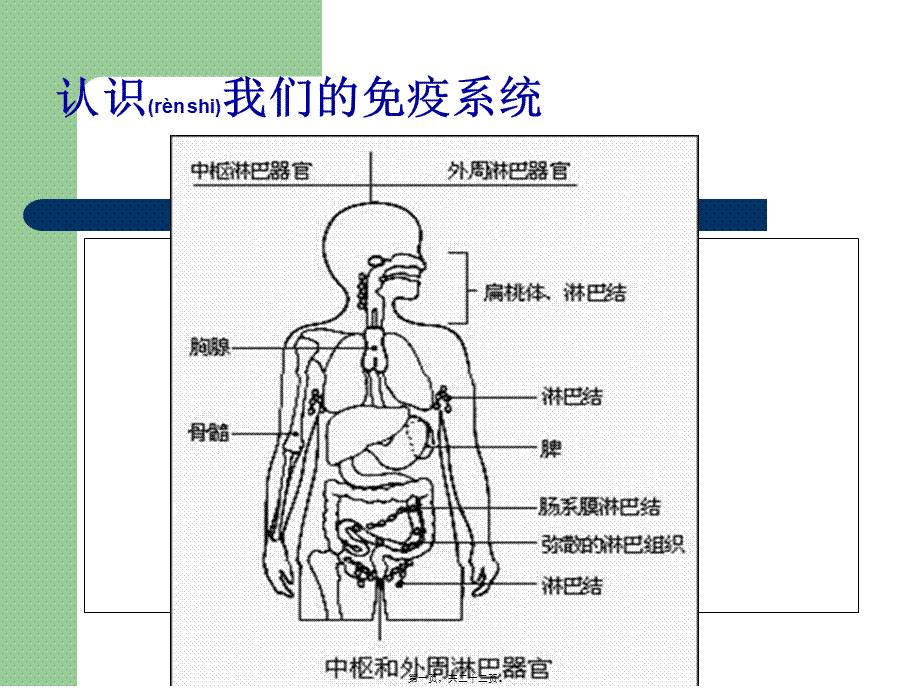 2022年医学专题—免疫系统营养调理.ppt_第1页