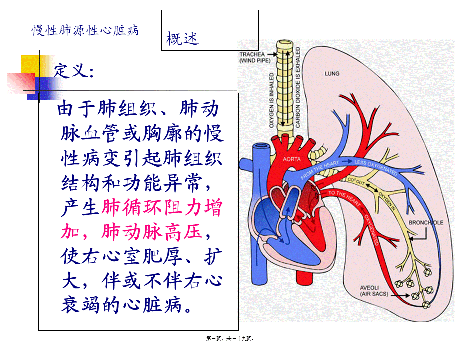 3慢性肺源性心脏病.pptx_第3页