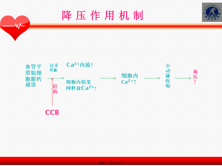 CCB类降压药.pptx_第3页