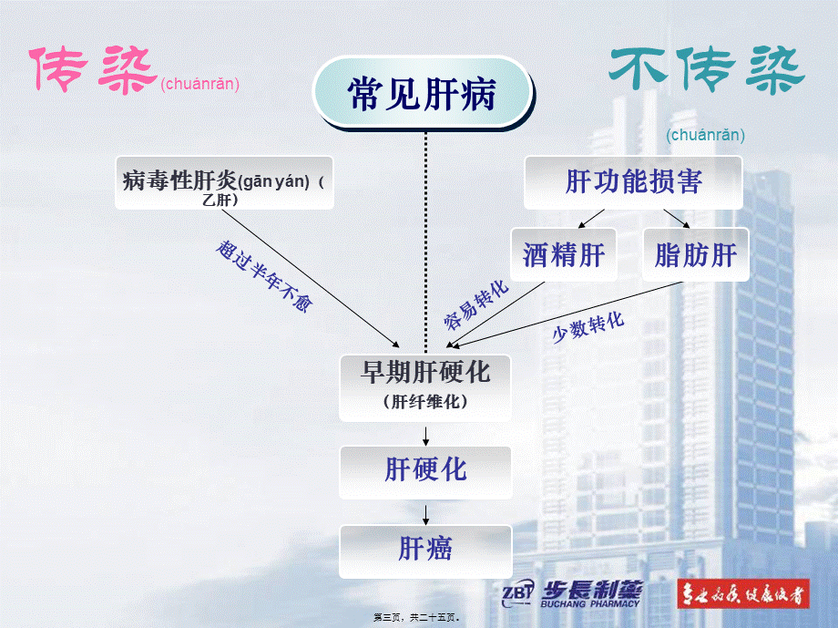 2022年医学专题—肝爽(代表)讲诉.ppt_第3页