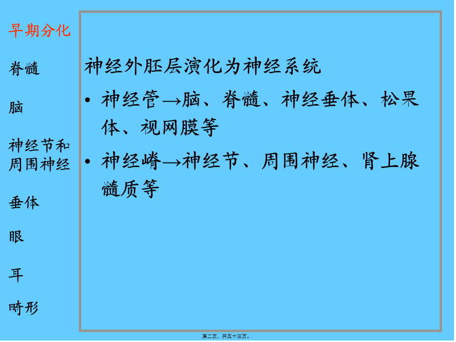 2022年医学专题—脑神经系统-神经系统和眼耳的发生..ppt_第2页