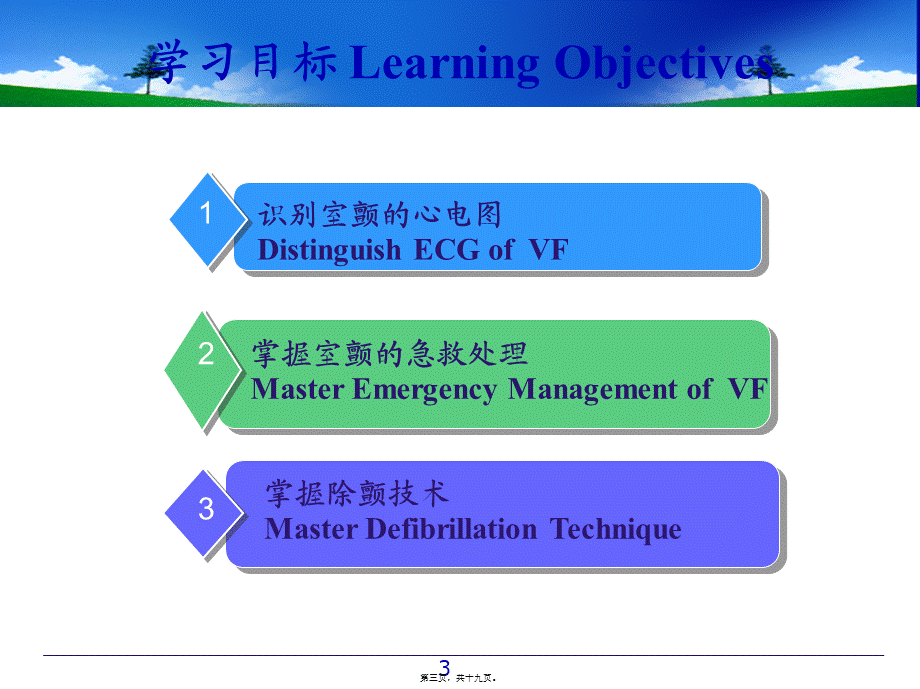 室颤与急救.pptx_第3页