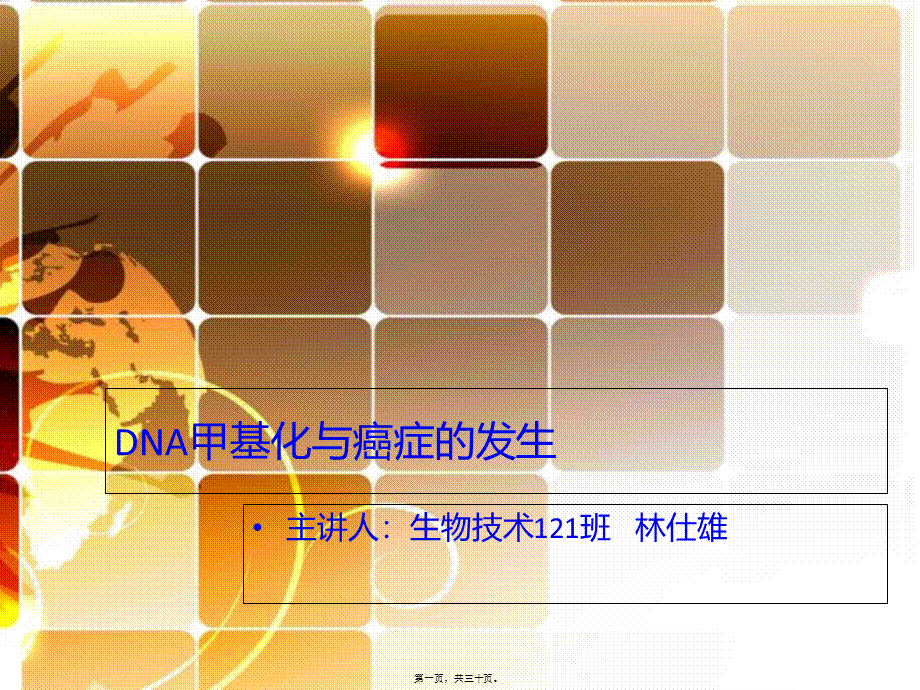 DNA甲基化与癌症的发生.pptx_第1页