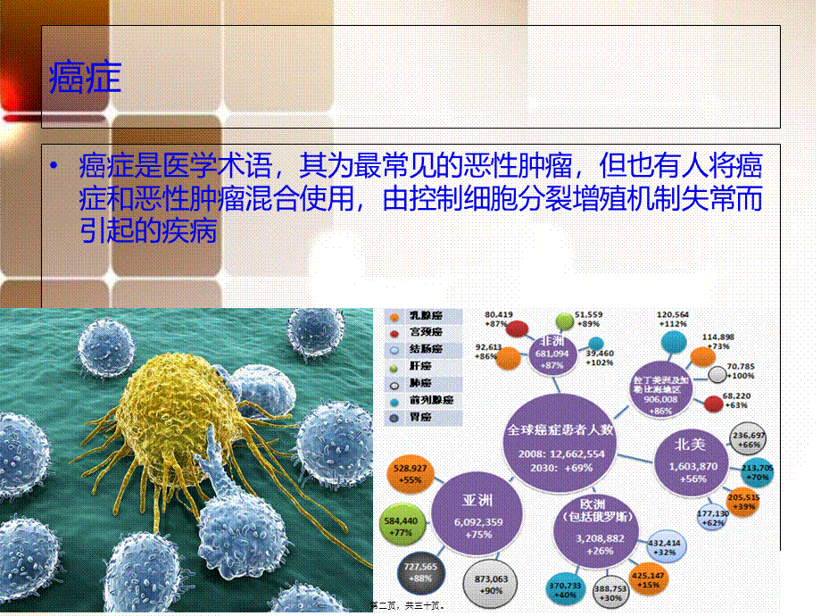 DNA甲基化与癌症的发生.pptx_第2页