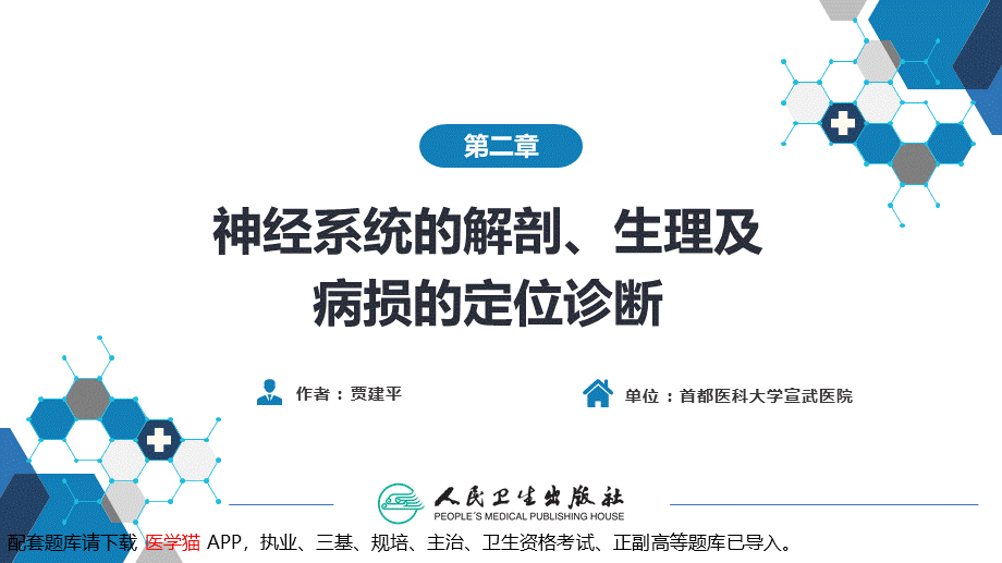 第二章 神经系统的解剖、生理及病损的定位诊断（2）(1).pptx_第2页