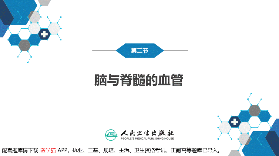 第二章 神经系统的解剖、生理及病损的定位诊断（2）(1).pptx_第3页