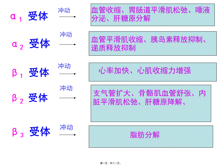 α激动药、β--激动药指导.pptx_第1页