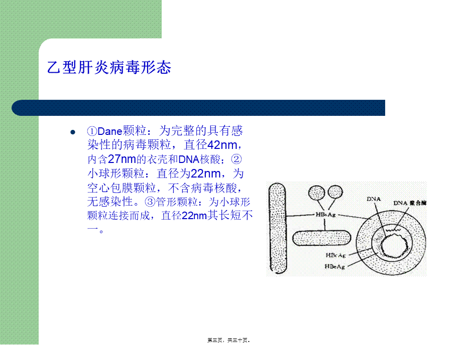 南昌丙肝医院治肝8项注意!.pptx_第3页