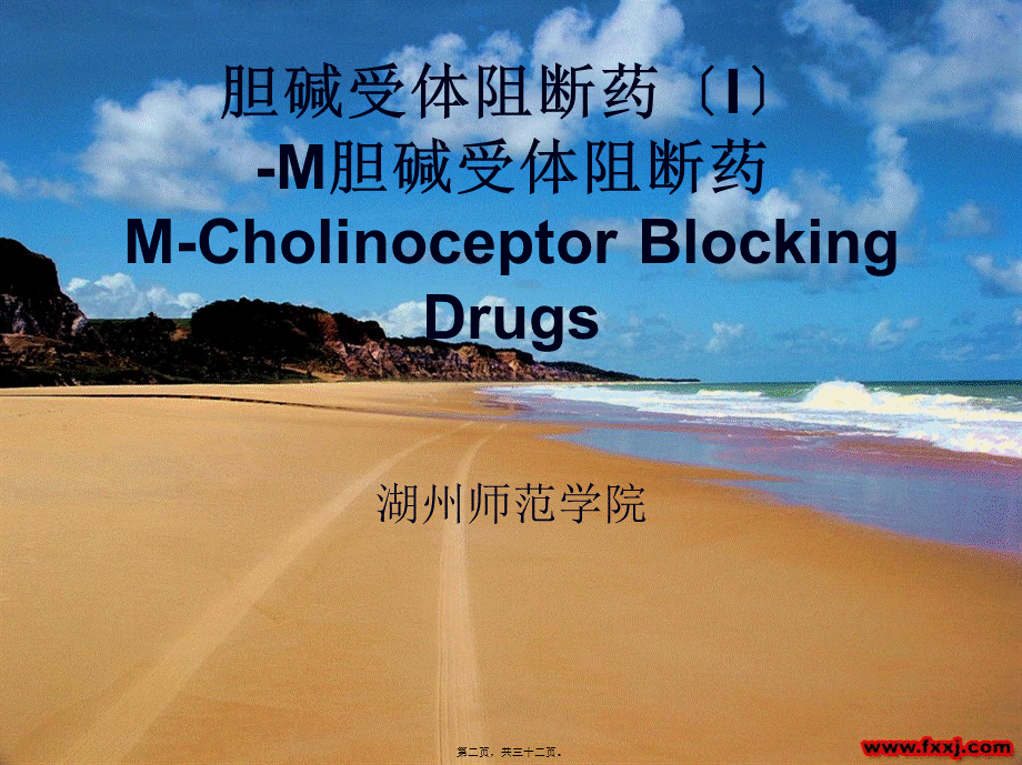 8M胆碱受体阻断药.pptx_第2页