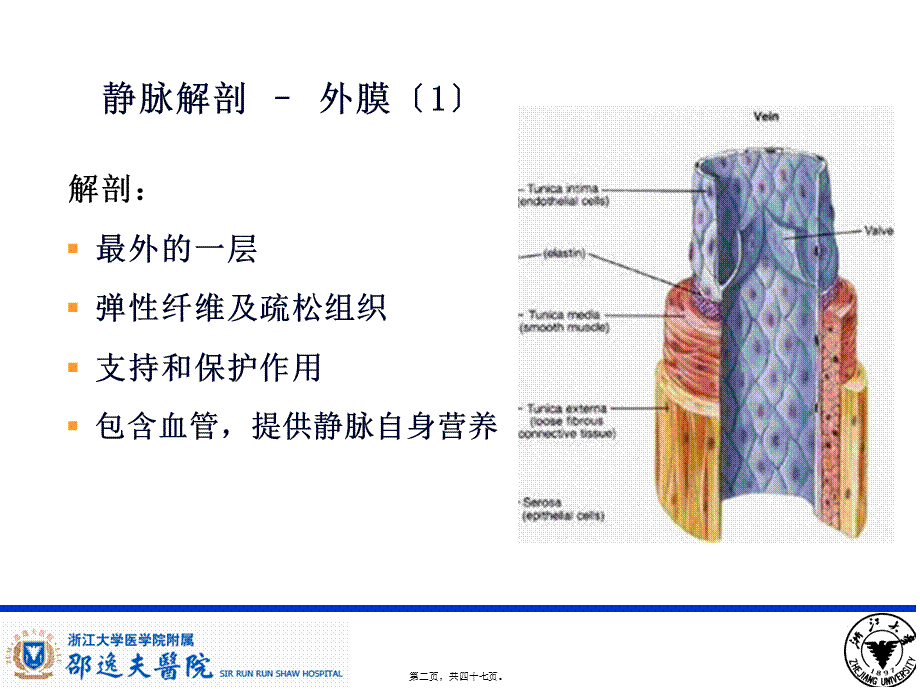 PICC导管相关性血栓形成及处理.pptx_第2页