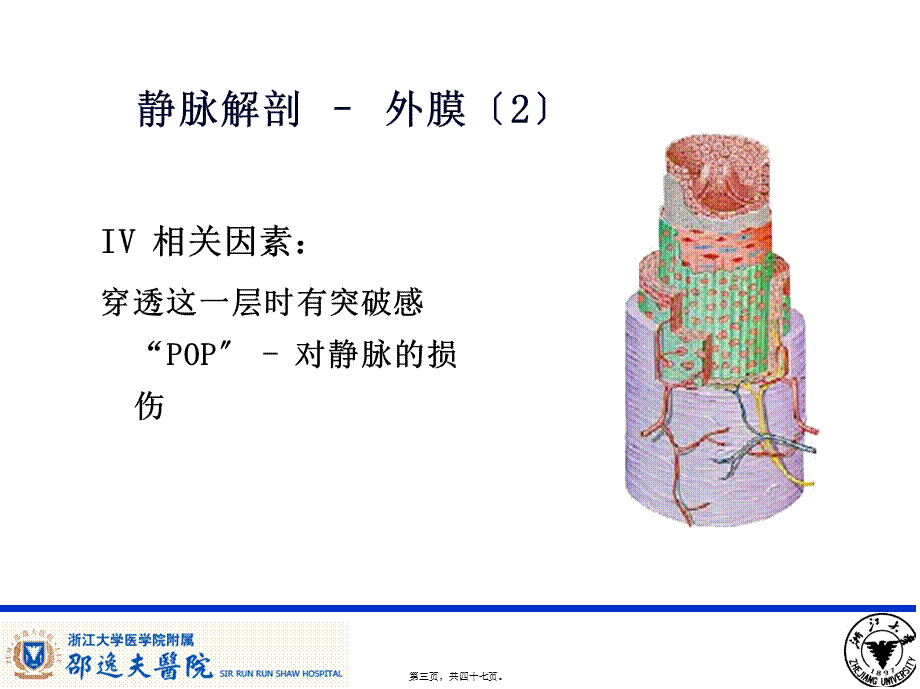 PICC导管相关性血栓形成及处理.pptx_第3页