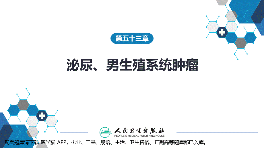 第五十三章 泌尿、男生殖系统肿瘤 第三、四、五、六节(1).pptx_第2页