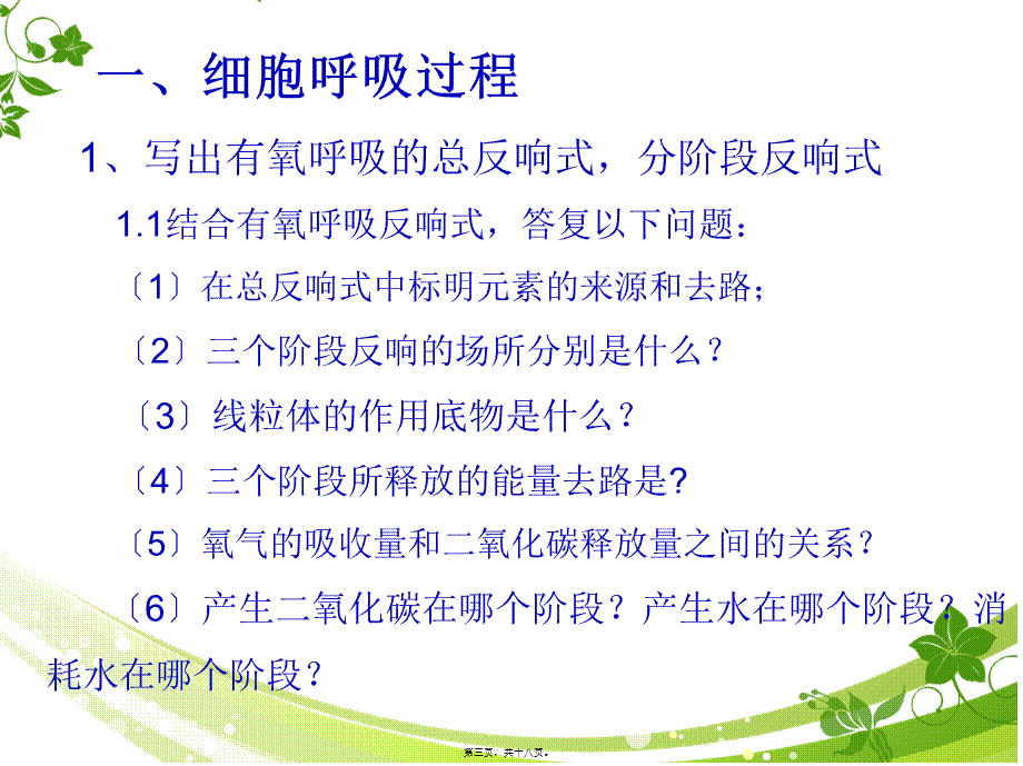 一轮复习细胞呼吸-优质课.pptx_第3页