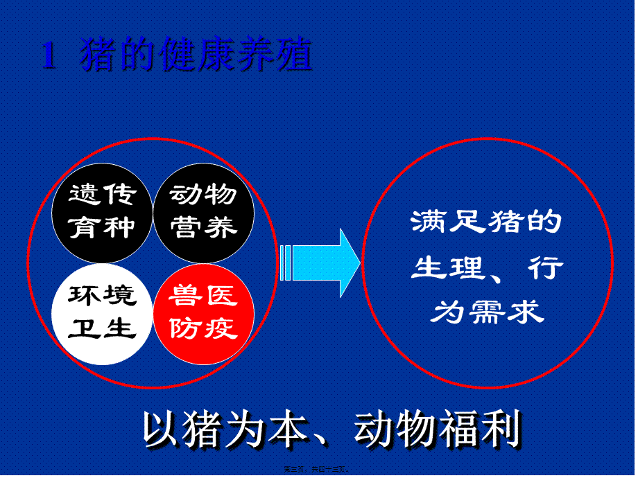 中草药饲料添加剂重点.pptx_第3页