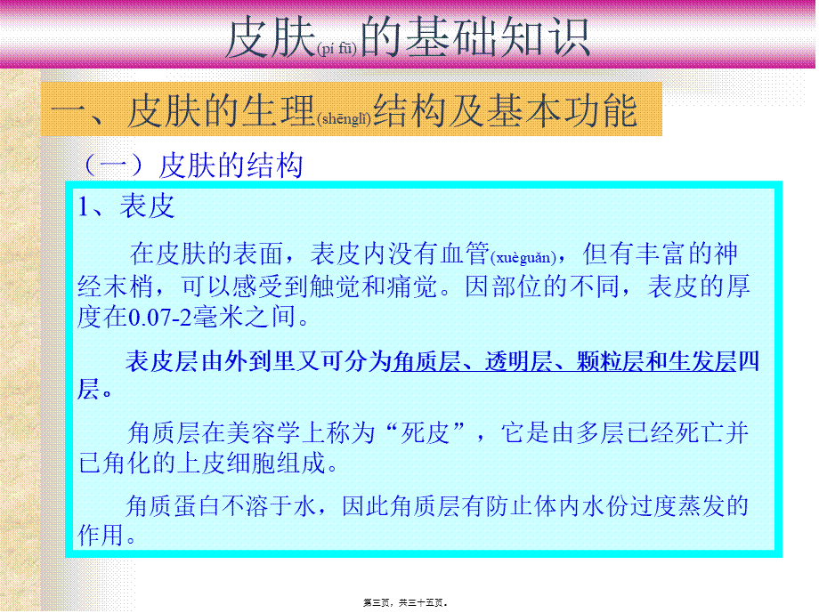 2022年医学专题—皮肤基础知识.ppt_第3页