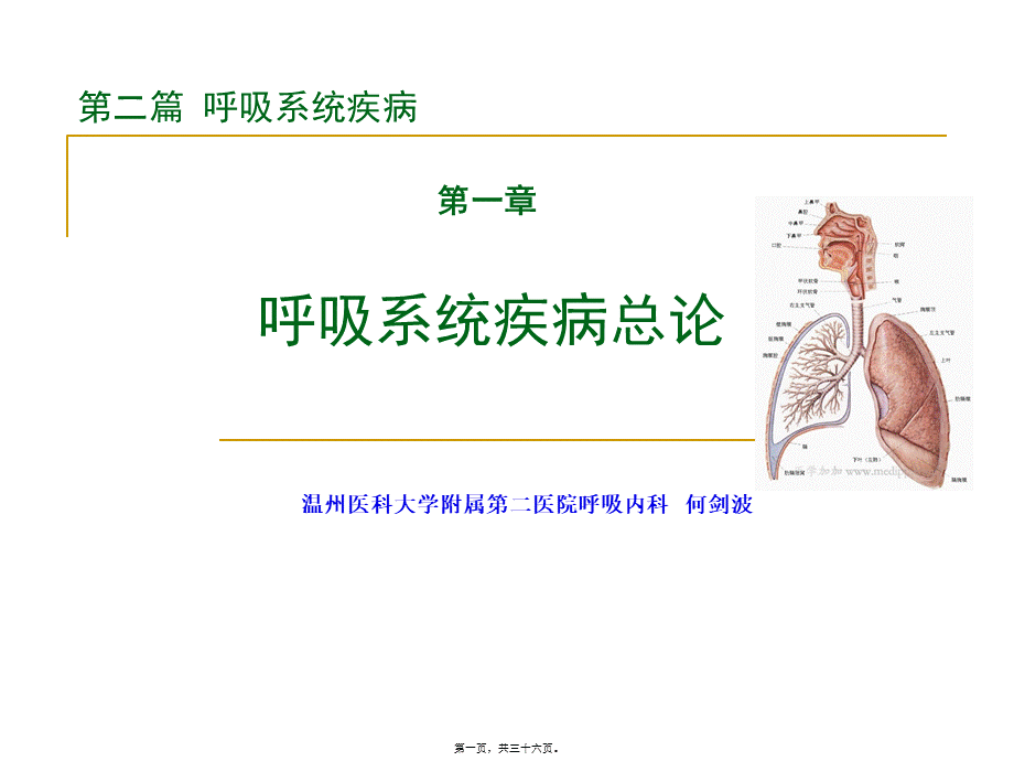 呼吸系统总论.ppt_第1页