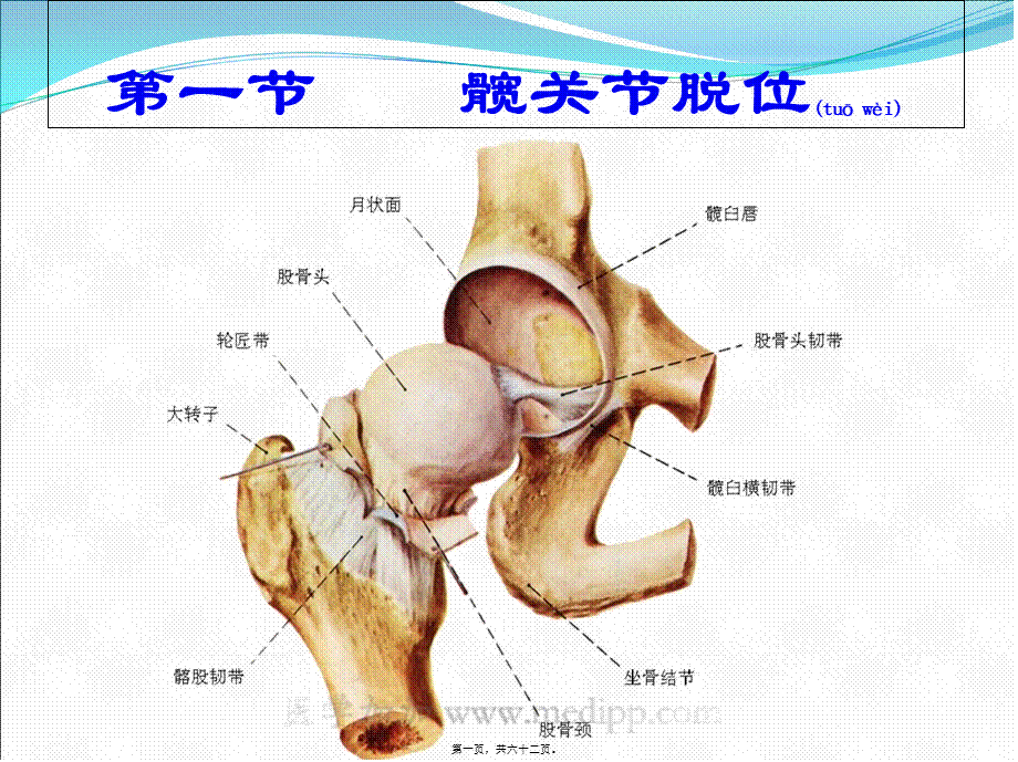 2022年医学专题—下肢骨关节损伤.ppt_第1页