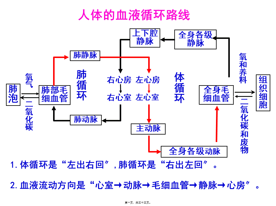 4人体的排泄PPT2.pptx_第1页