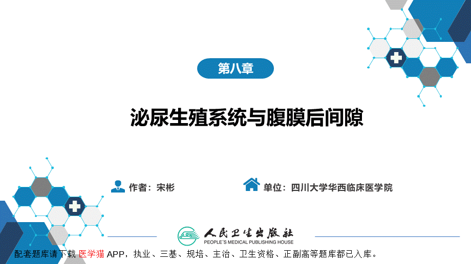 第八章 泌尿生殖系统与腹膜后间隙 第五节 腹膜后间隙(1).pptx_第2页