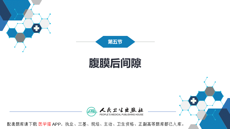 第八章 泌尿生殖系统与腹膜后间隙 第五节 腹膜后间隙(1).pptx_第3页