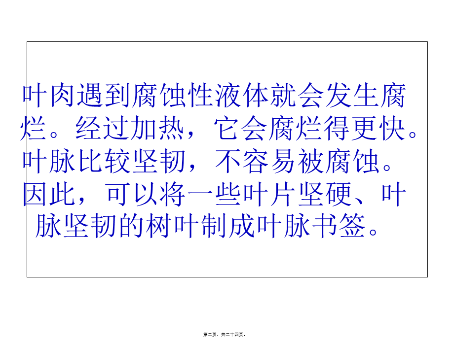 叶脉书签的制作.pptx_第2页