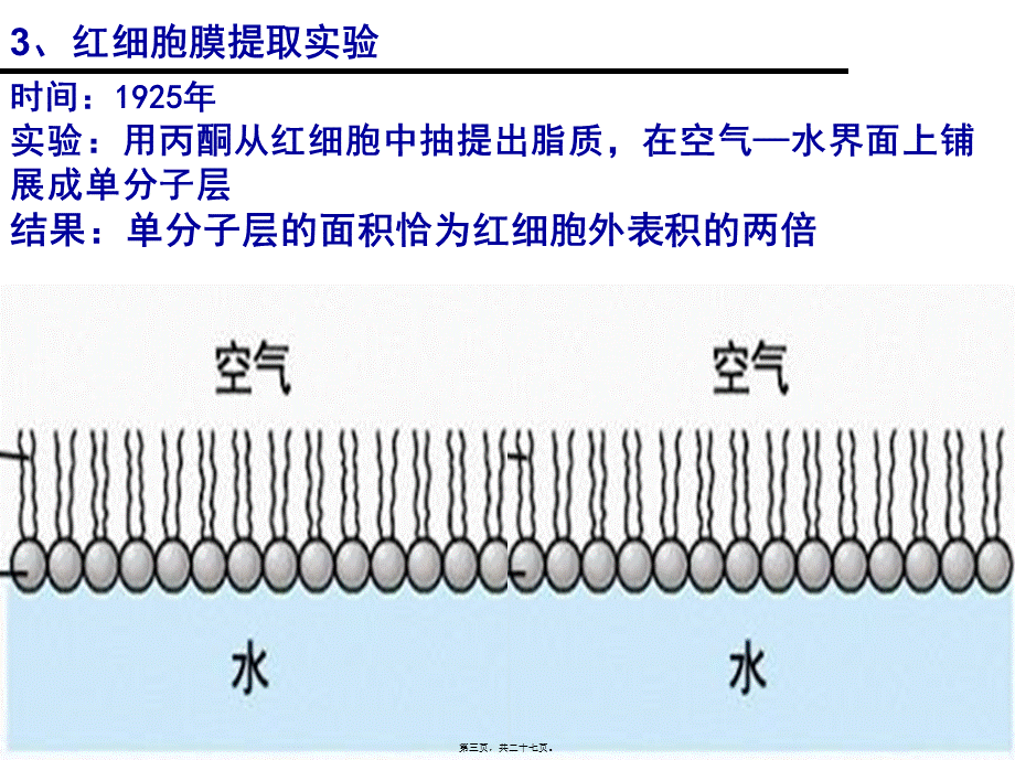 一轮复习：细胞膜流动镶嵌模型.pptx_第3页