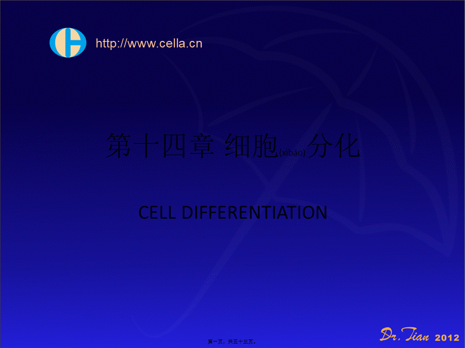 2022年医学专题—细胞分化与凋亡.ppt_第1页