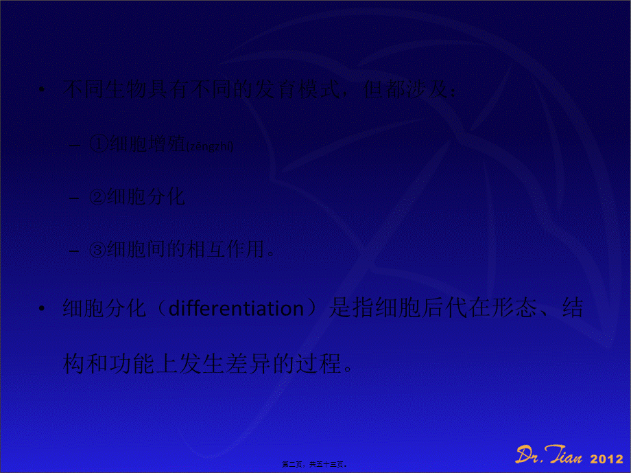 2022年医学专题—细胞分化与凋亡.ppt_第2页