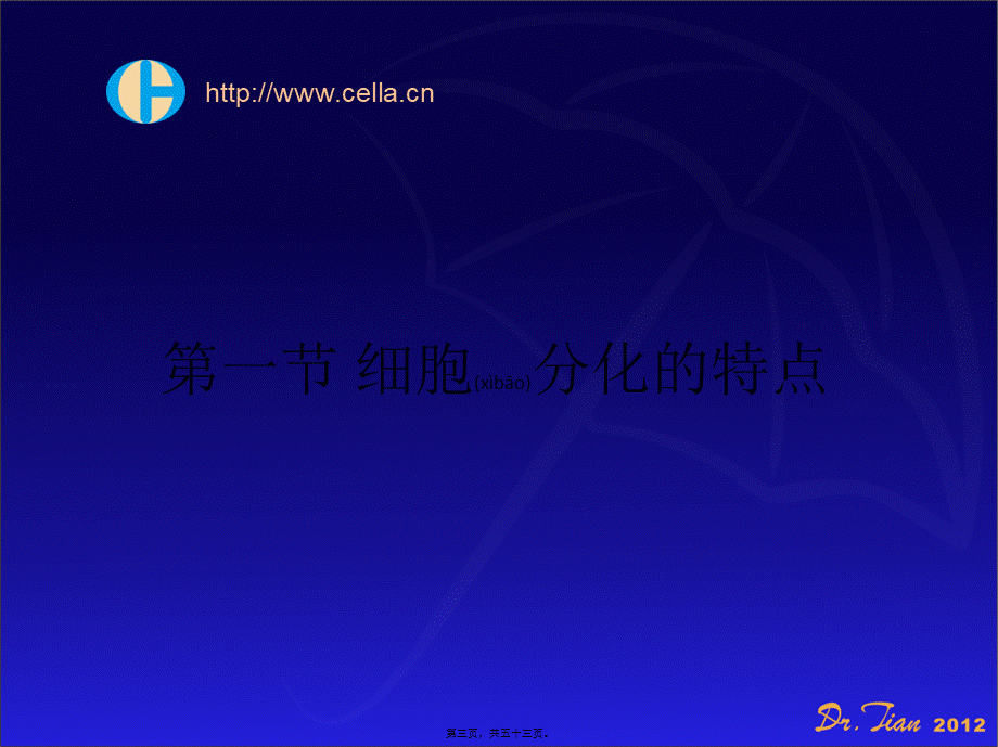 2022年医学专题—细胞分化与凋亡.ppt_第3页