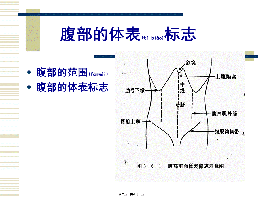 2022年医学专题—腹部检查2008430.ppt_第2页