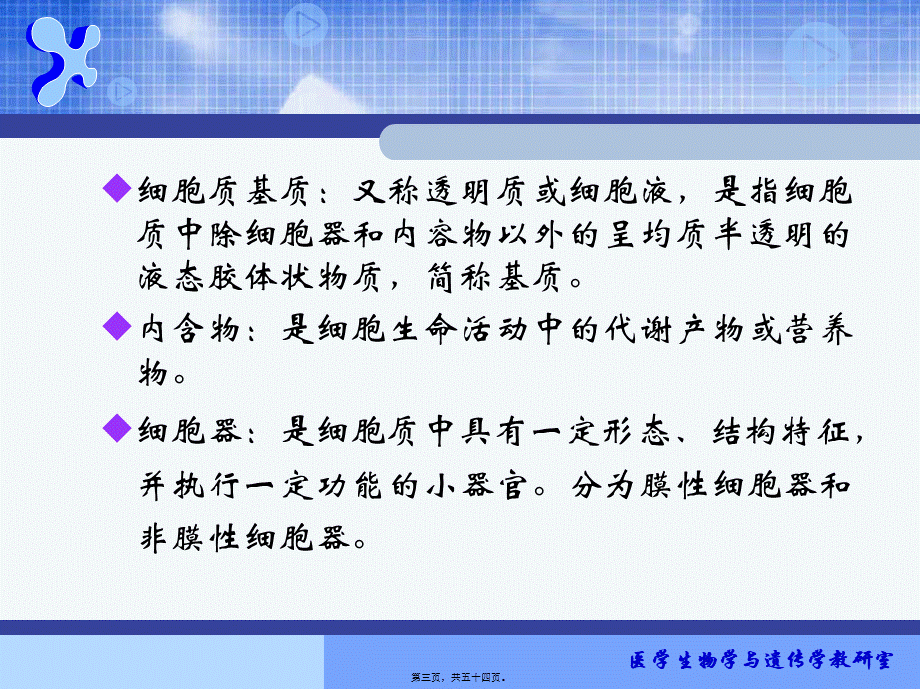 4(细胞质)全解.pptx_第3页