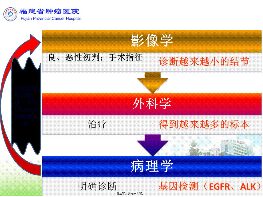 2022年医学专题—肺小结节的诊疗体会.pptx_第3页