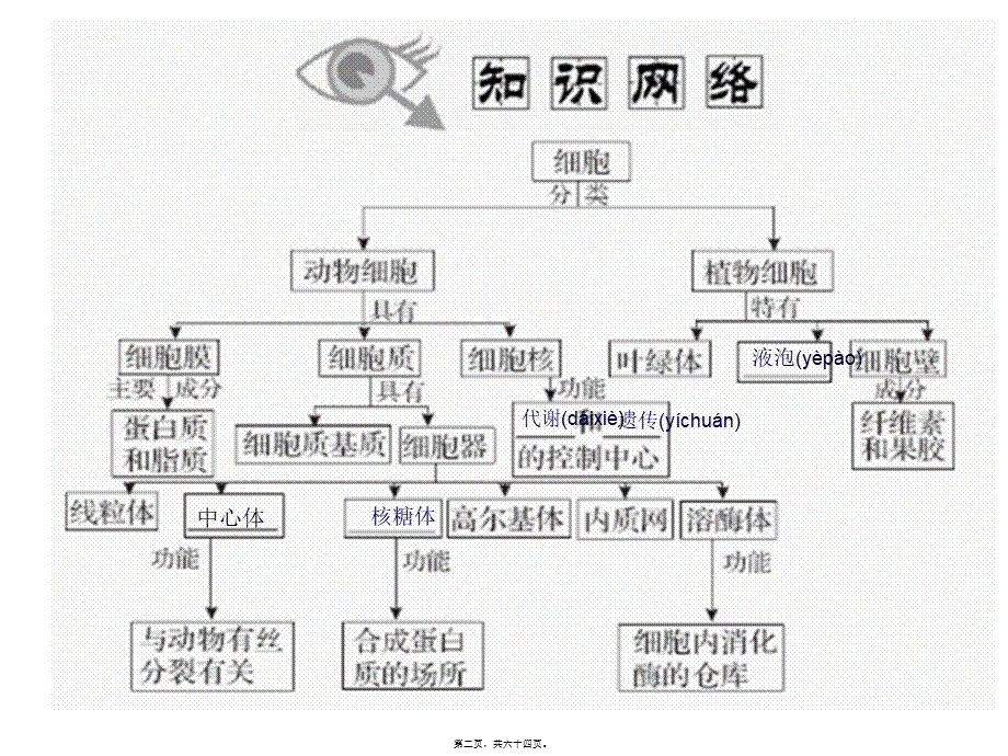 2022年医学专题—一轮复习细胞器.ppt_第2页