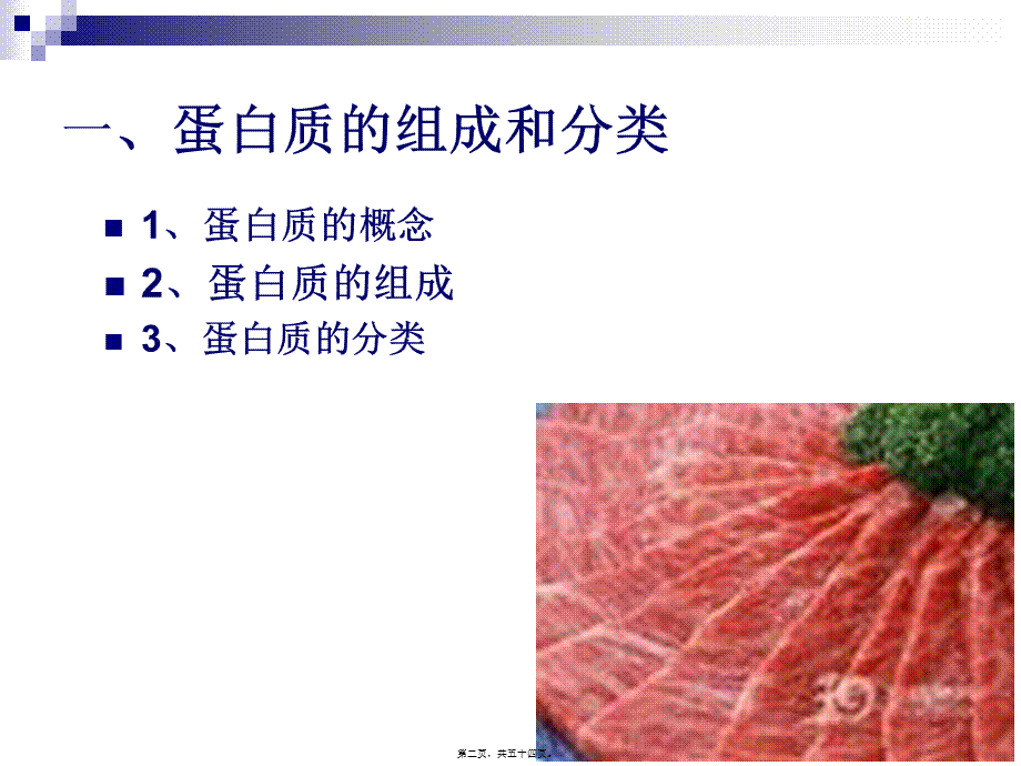 《烹饪营养学》第三讲-蛋白质.pptx_第2页