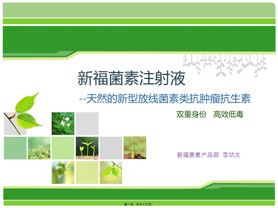 8-20新福菌素放化疗.ppt_第1页