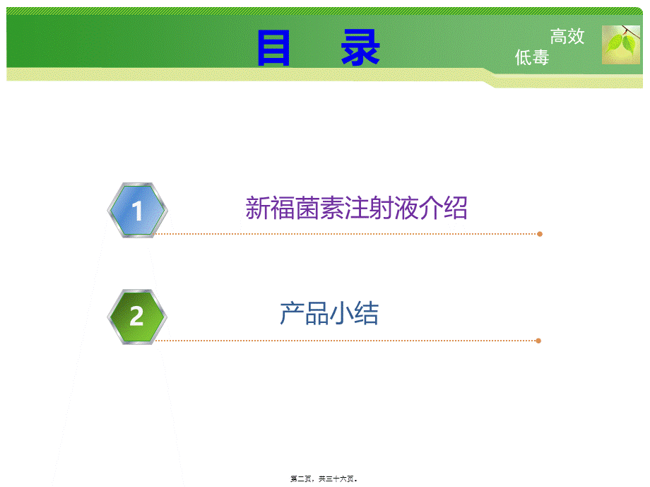 8-20新福菌素放化疗.ppt_第2页