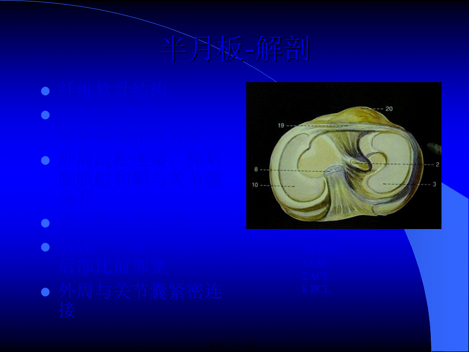 MRI膝关节.pptx_第3页