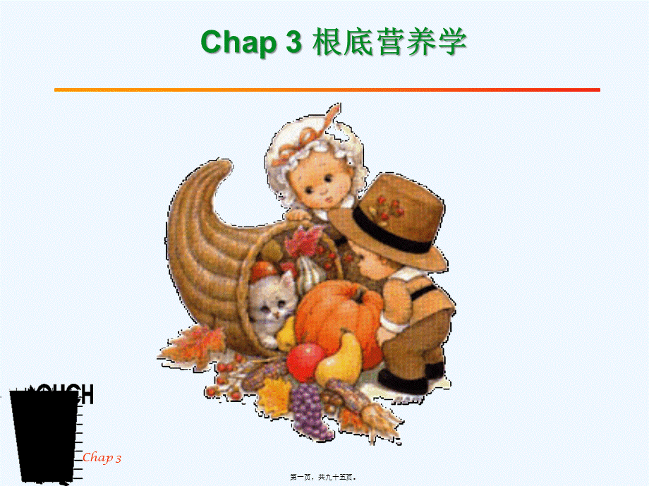 Chap3-2基础营养学.pptx_第1页