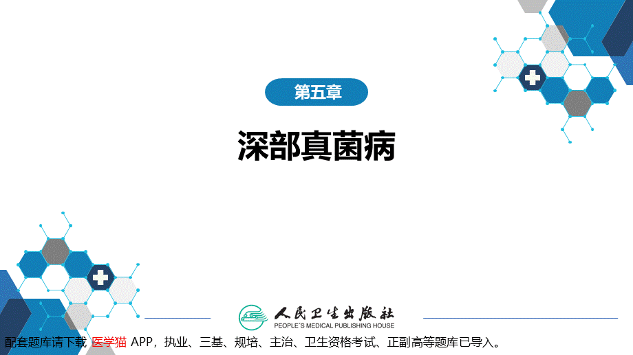 第五章 深部真菌病 第一节 新型隐球菌病(1).ppt_第2页