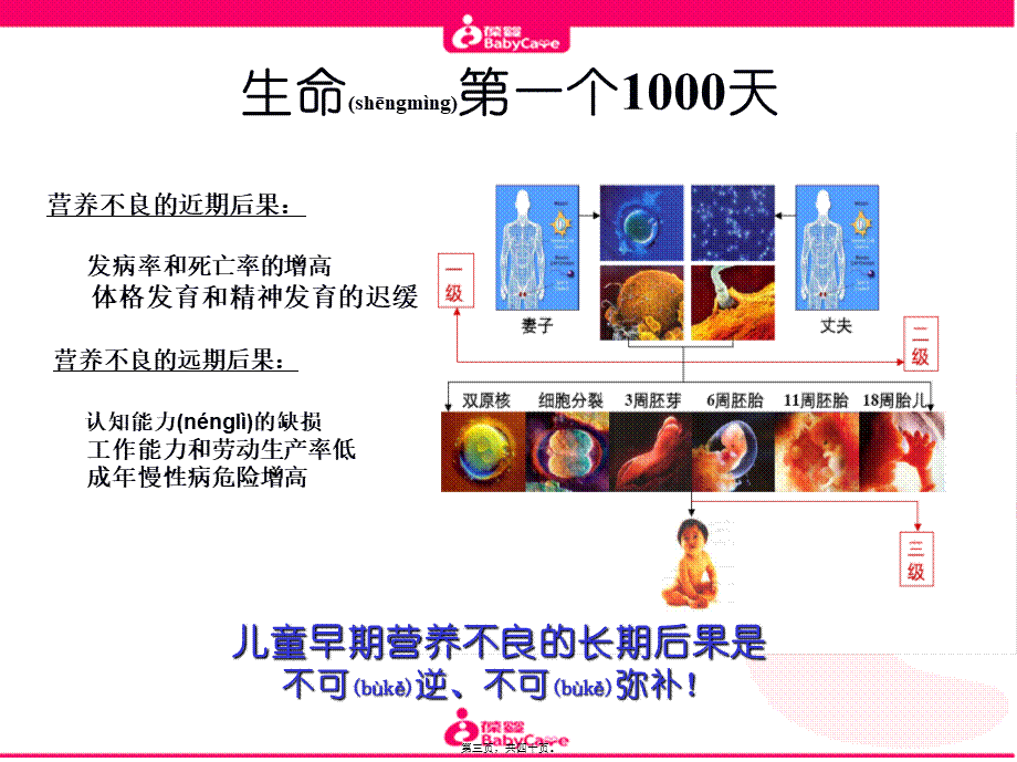 2022年医学专题—婴幼儿大脑发育的奥秘.ppt_第3页