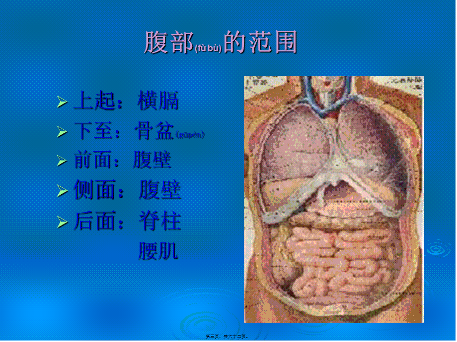 2022年医学专题—腹部体查.ppt_第3页