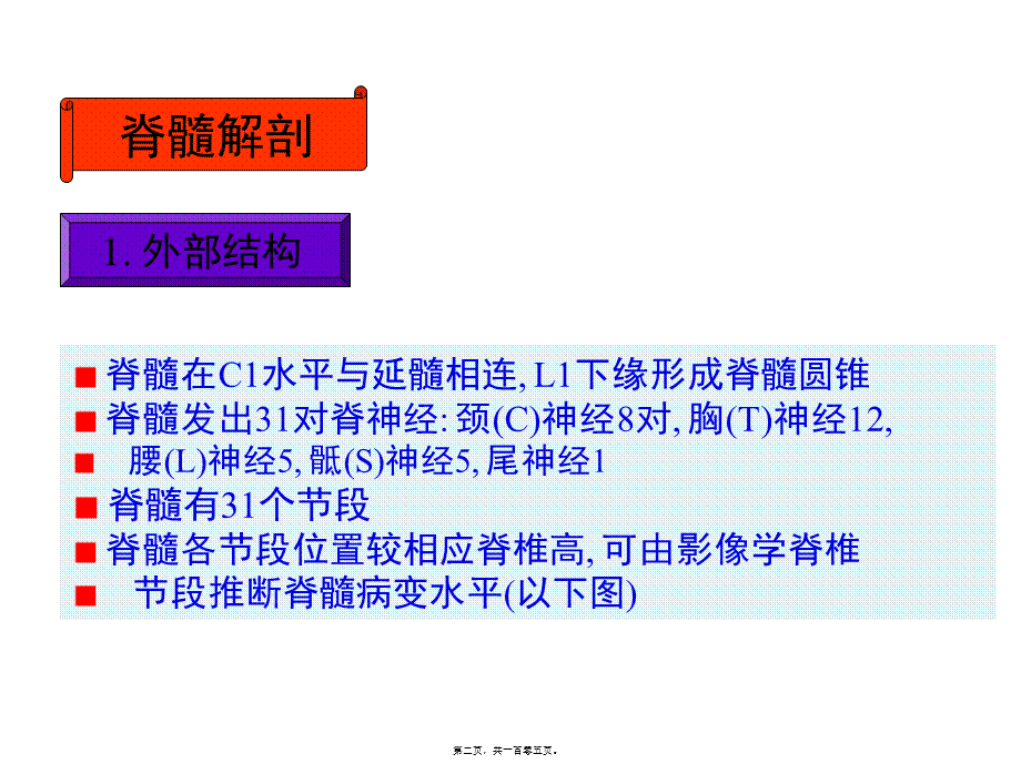 j神经病学脊髓病变.ppt_第2页