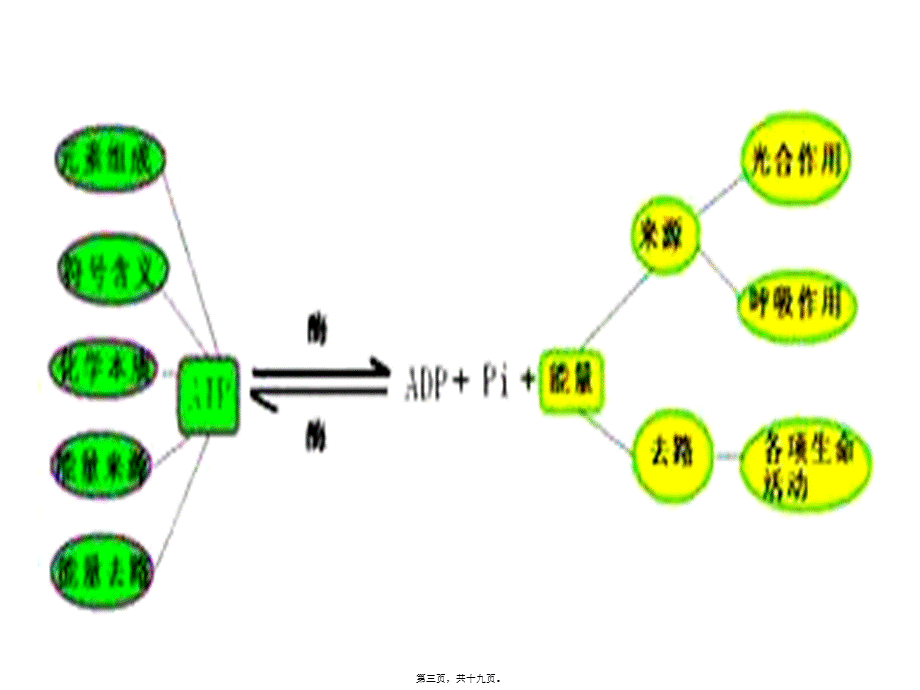 2022年医学专题—第三章--细胞的代谢概念图.ppt_第3页