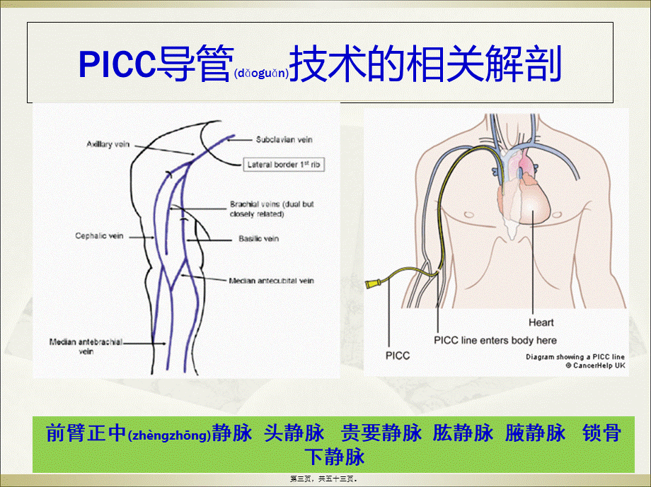 2022年医学专题—PICC导管头端定位与并发症处理.ppt_第3页