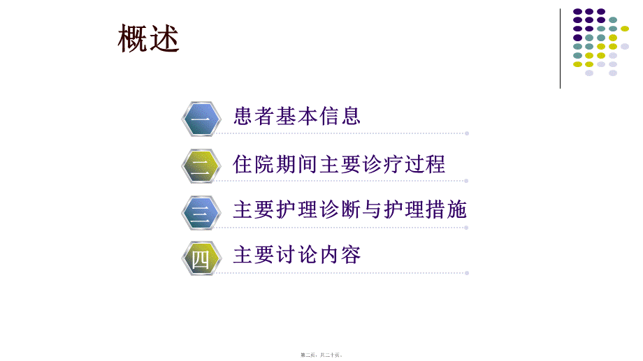 个案查房模板---副本.ppt_第2页