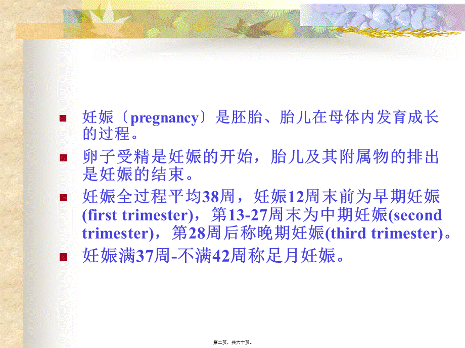 妊娠期母体变化.pptx_第2页